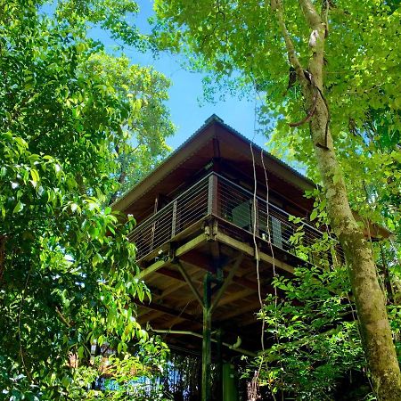 Cairns Rainforest Retreat Eksteriør bilde