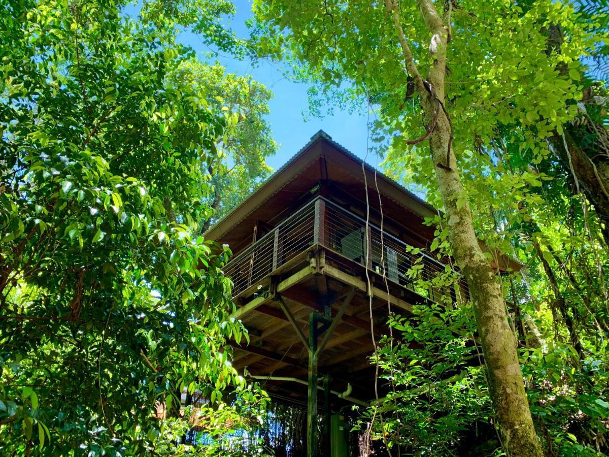 Cairns Rainforest Retreat Eksteriør bilde