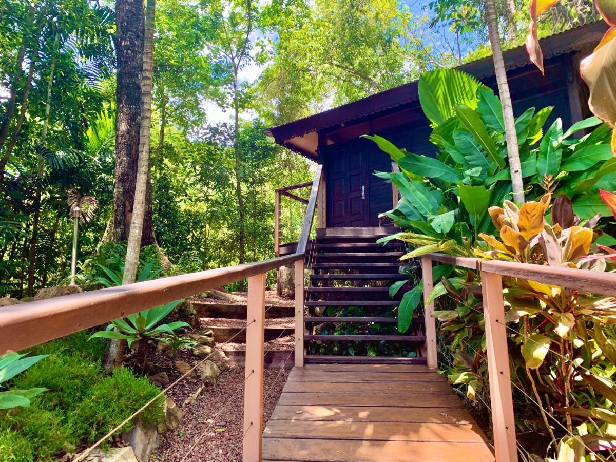 Cairns Rainforest Retreat Eksteriør bilde