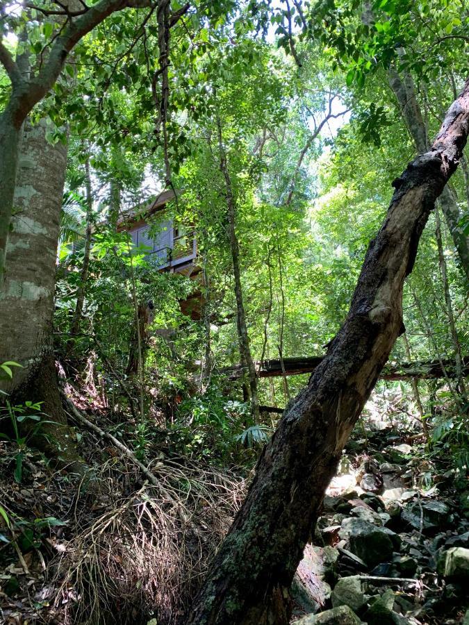 Cairns Rainforest Retreat Eksteriør bilde
