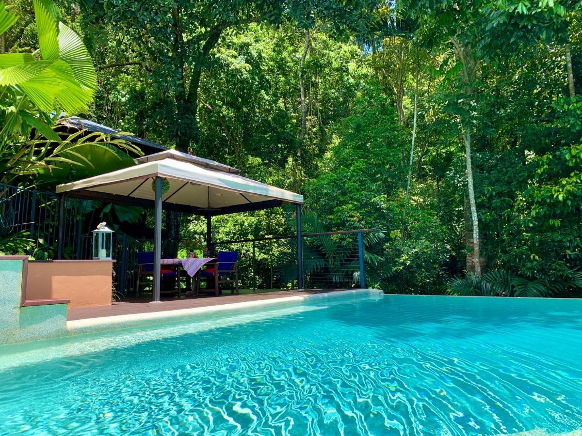 Cairns Rainforest Retreat Eksteriør bilde