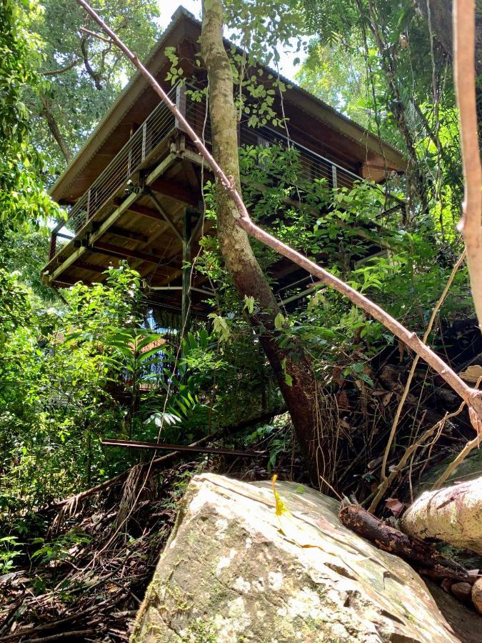 Cairns Rainforest Retreat Eksteriør bilde