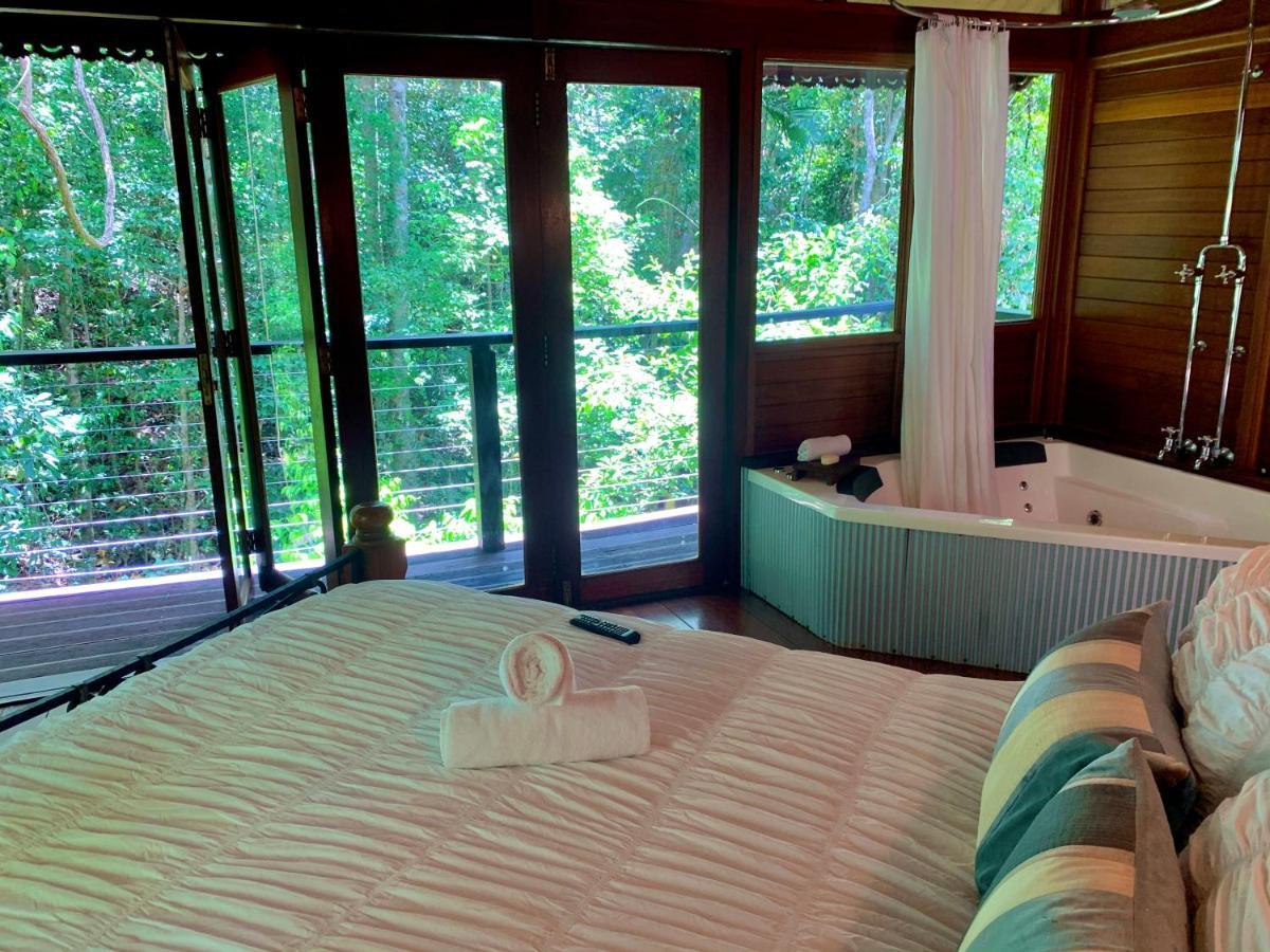 Cairns Rainforest Retreat Eksteriør bilde