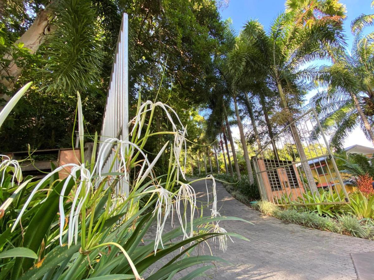 Cairns Rainforest Retreat Eksteriør bilde